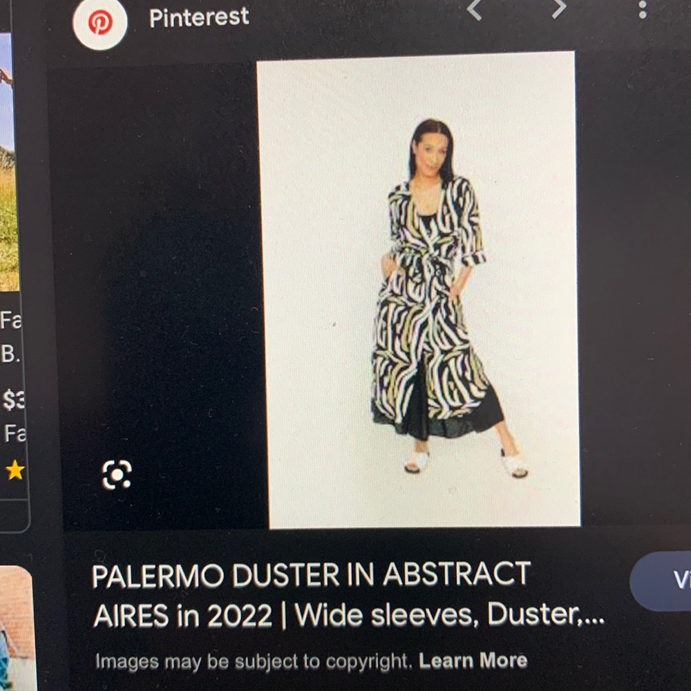 The Palermo dusters